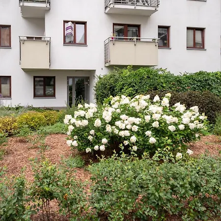 Wola Modern By Bookinghost *